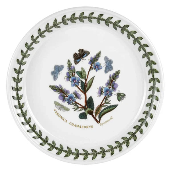 bread plate speedwell