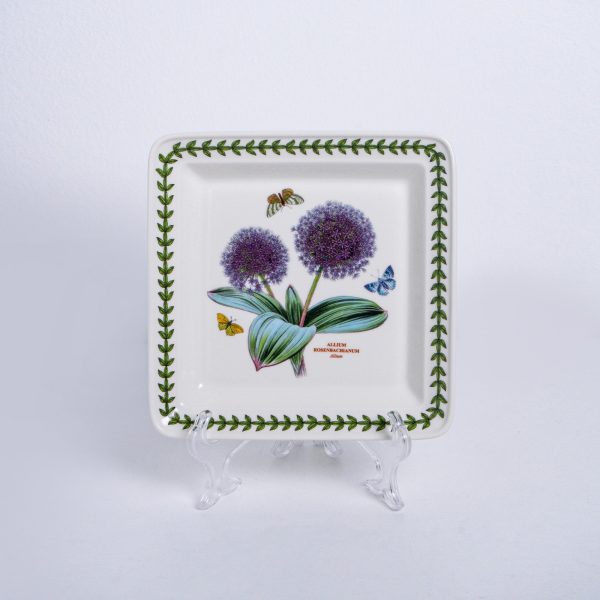 bg 12 sq-8.5 allium bg 12 sq-8.5 allium