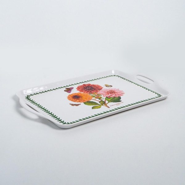 bg tray dahlia bg tray dahlia