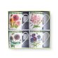 bg mug s4