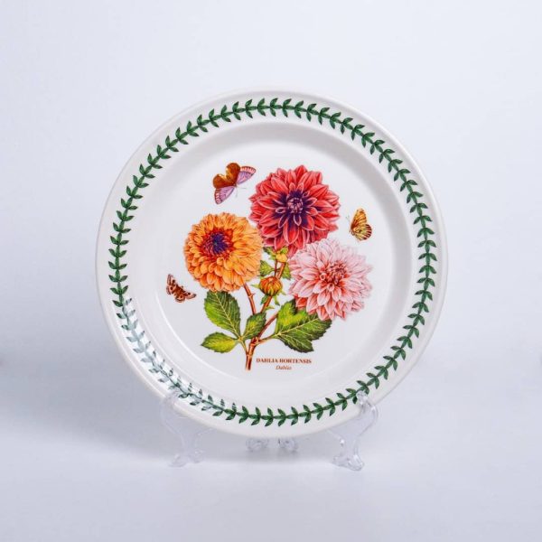 bg 10' dahlia