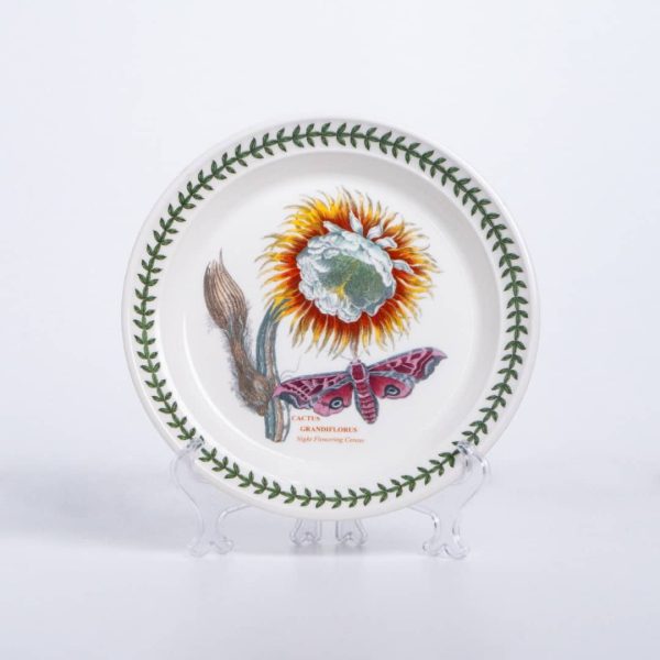 bg 8' nfcereus bg 8' nfcereus