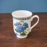 hydrangea