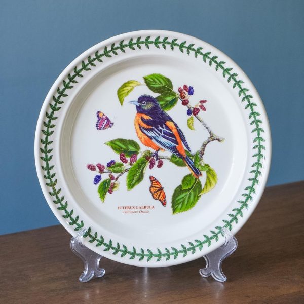 WhatsApp Image 2025-10-27 at 10.35.06