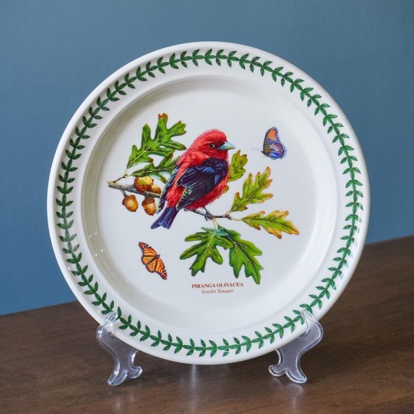 WhatsApp Image 2025-10-27 at 10.35.08 (1)