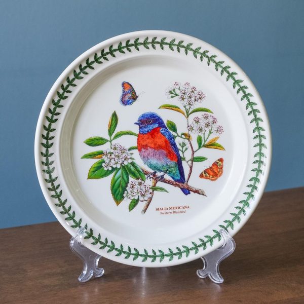 WhatsApp Image 2025-10-27 at 10.35.09