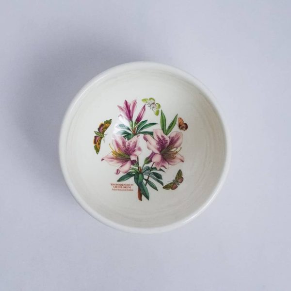 WhatsApp Image 2025-11-05 at 09.40.53