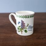 garden-lilac