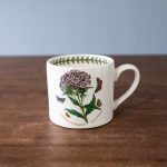 sweet-william-sweet-pea