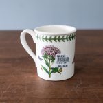 sweet-william