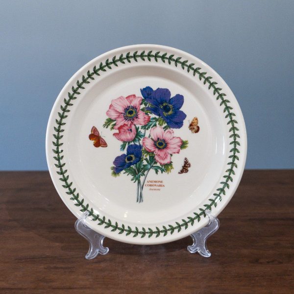 8 inch plate anemone