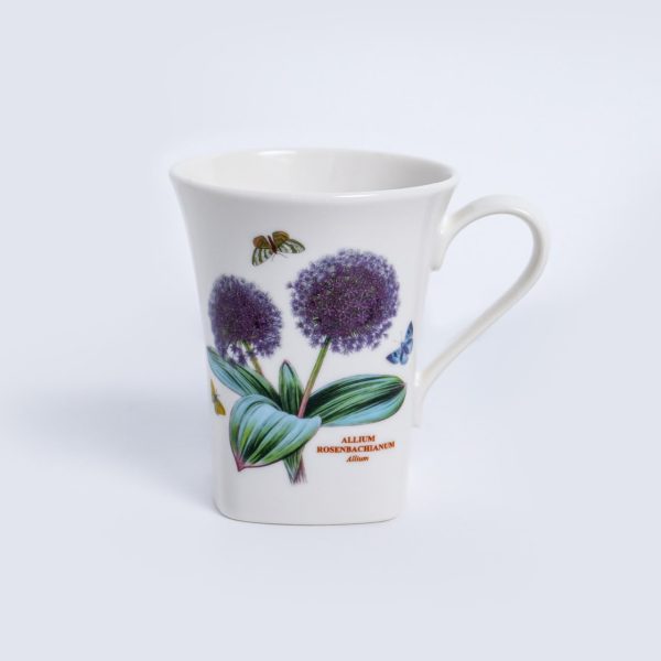 allium
