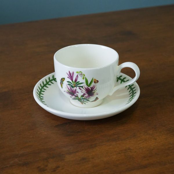 teacup azalea teacup azalea