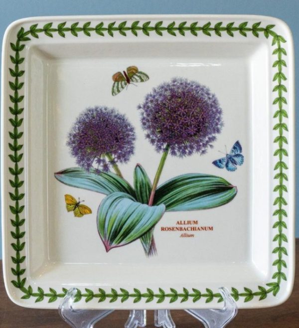 8.5 allium