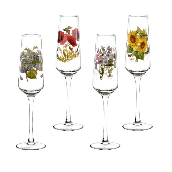 Portmeirion Botanic Garden Champagne Flutes Glasses Set of 4 Assorted Motifs