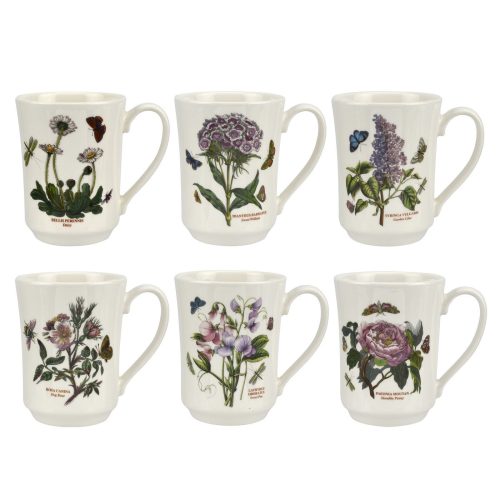 Portmeirion Botanic Garden Flared Tankard Set Of 6